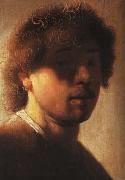 REMBRANDT Harmenszoon van Rijn A young Rembrandt oil painting on canvas